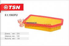 Фильтр воздушный Hyundai Solaris I/Kia Rio III TSN