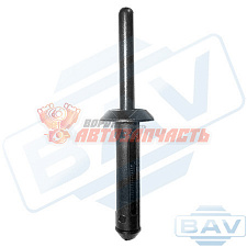 02020 заклепка автомобильная FORD/GM
