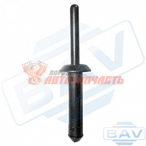 02020 заклепка автомобильная FORD/GM