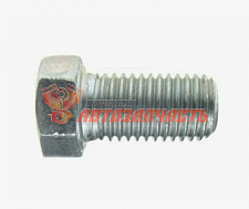 Болт М10*18*1.25 кл. пр. 10.9 петли двери 2108