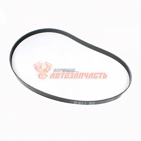 Ремень генератора ГАЗ 6PK1030 поликлиновый /б/ГУР, Соболь/ Стандарт Детали Машин